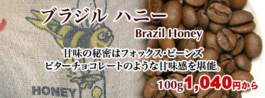 ブラジルハニー　100g 552円
