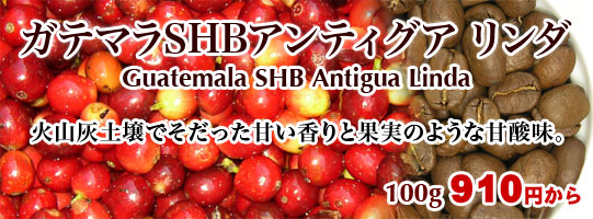 ガテマラSHBアンティグアリンダ 200g 835円